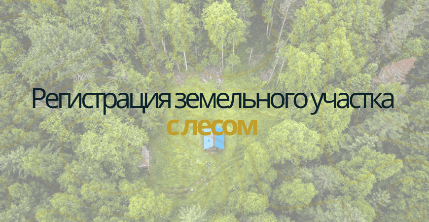 Земельный участок с лесом в Камско-Устьинском районе